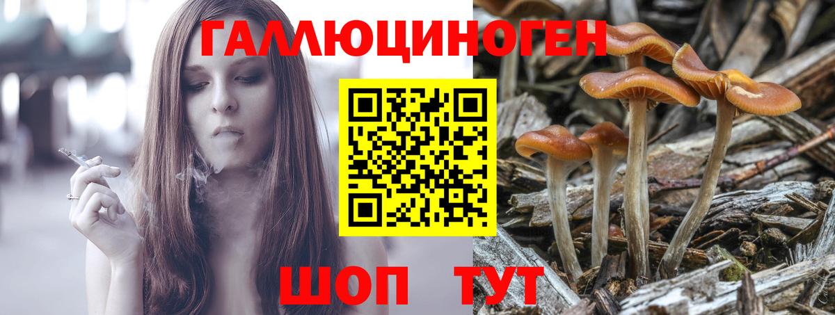 Псилоцибиновые грибы ЛСД  дарнет шоп  Уварово  Вход с VPN 